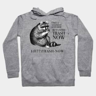 I have a structured settlement but I need trash now Hoodie